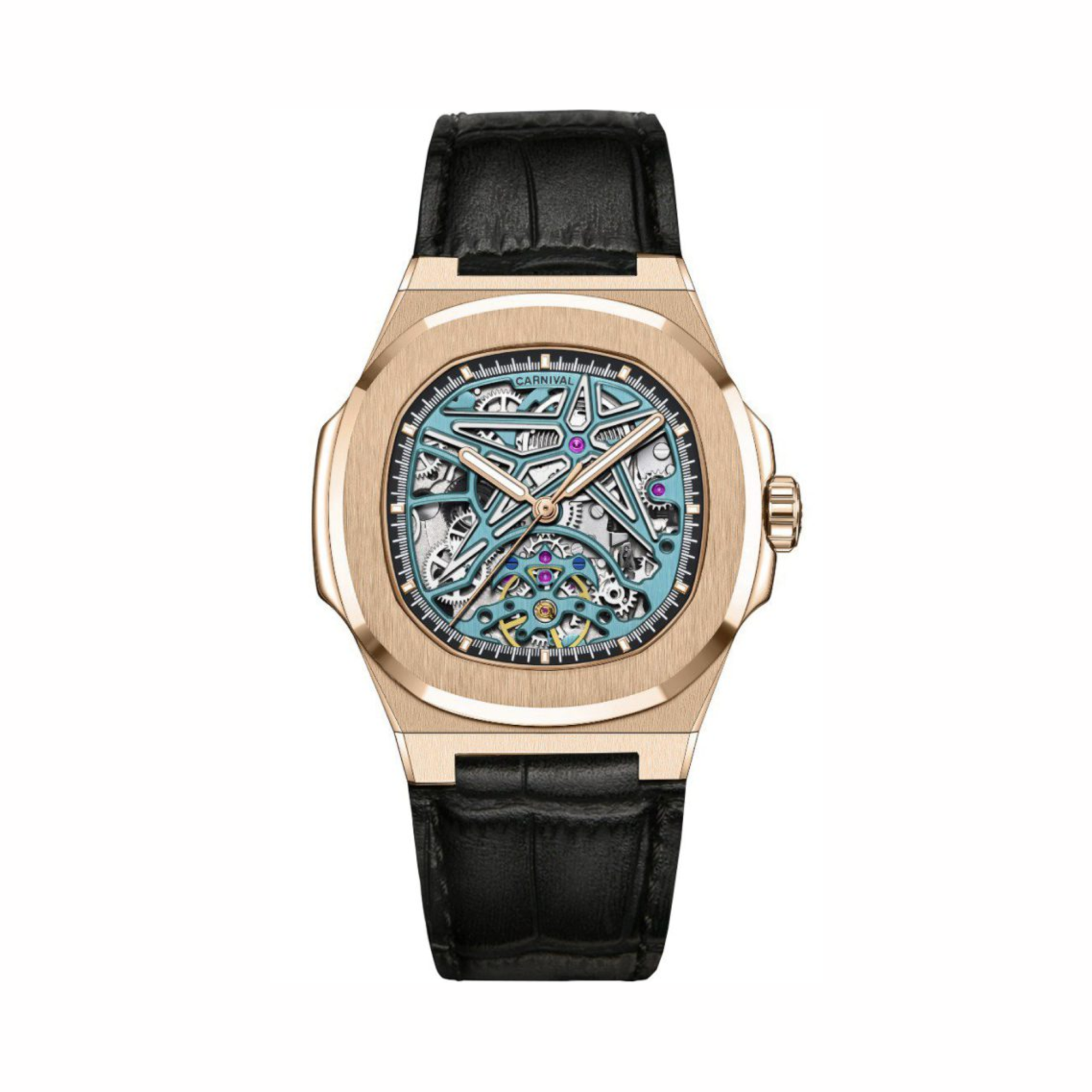 CARNIVAL 8118G-VH-DD-X