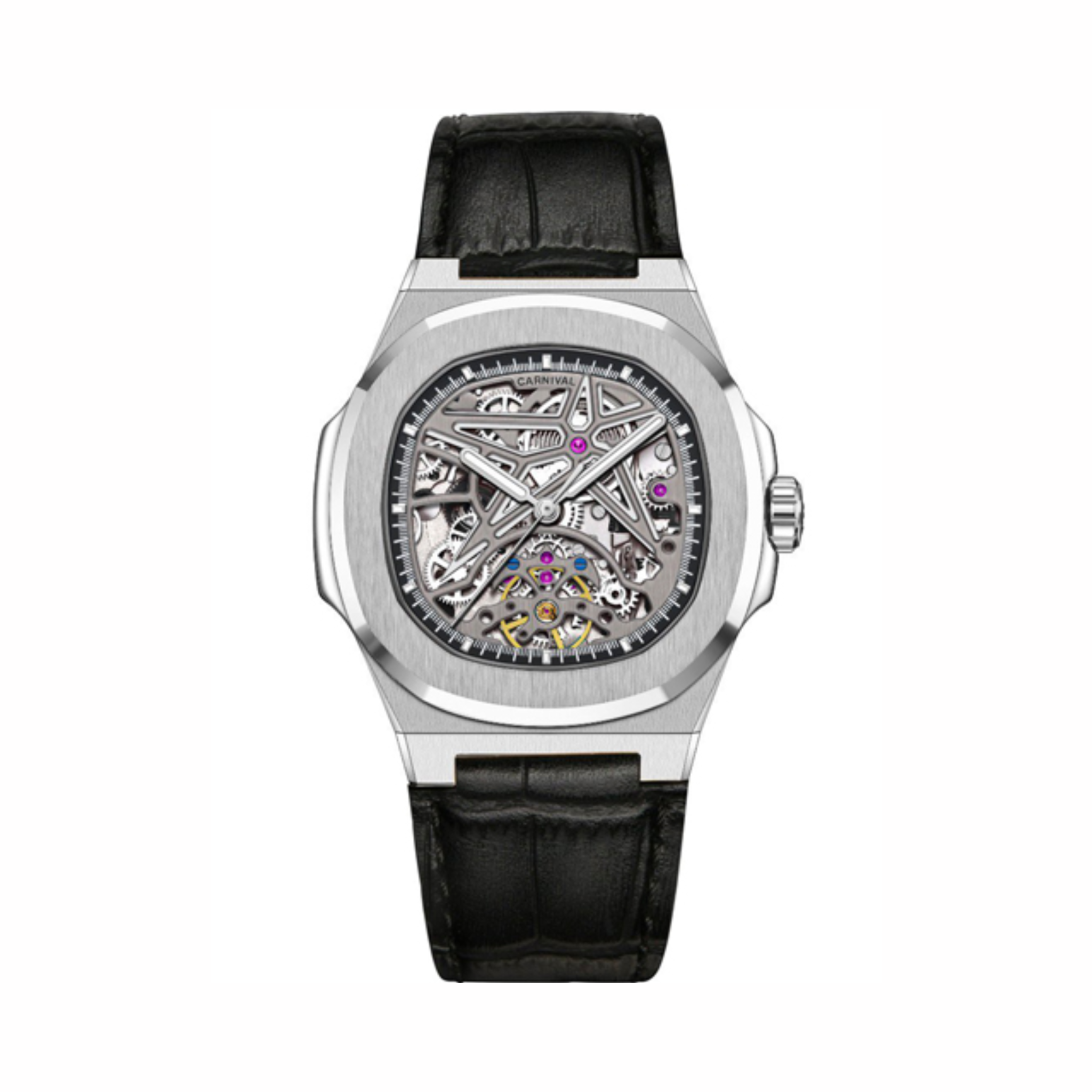 CARNIVAL 8118G-VT-DD-T