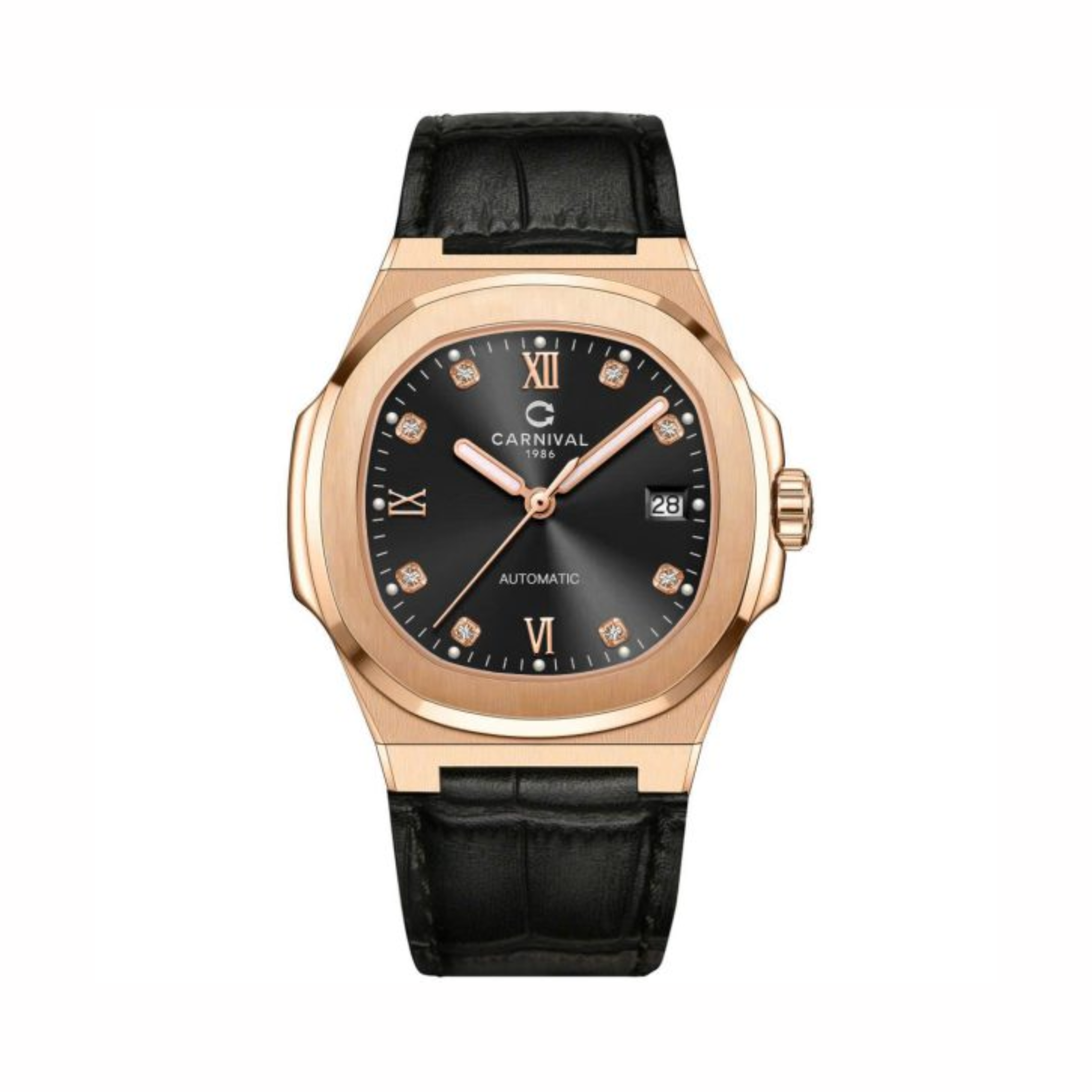 CARNIVAL 8160G-VH-DD-D