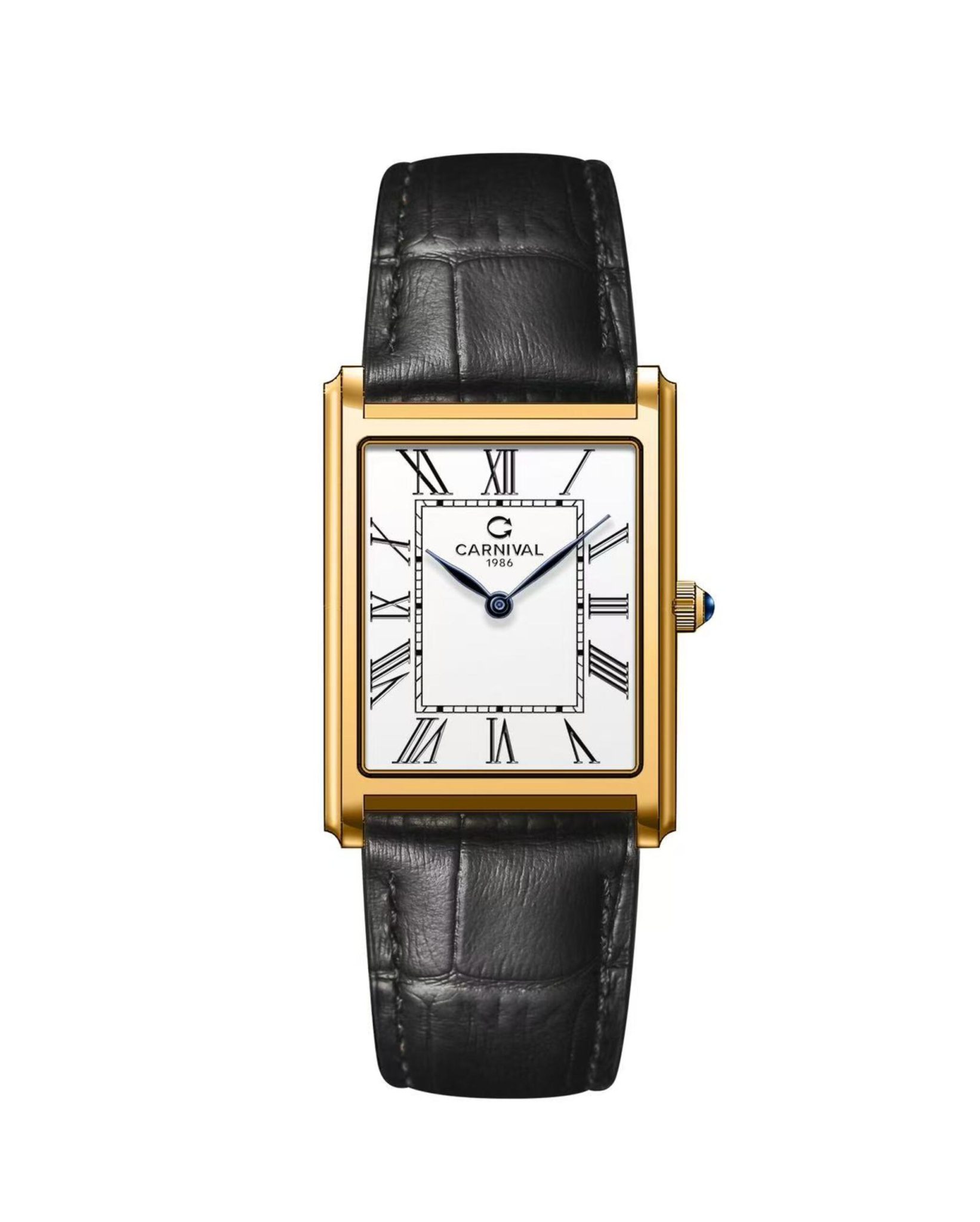 CARNIVAL 8123L-VV-DD-T