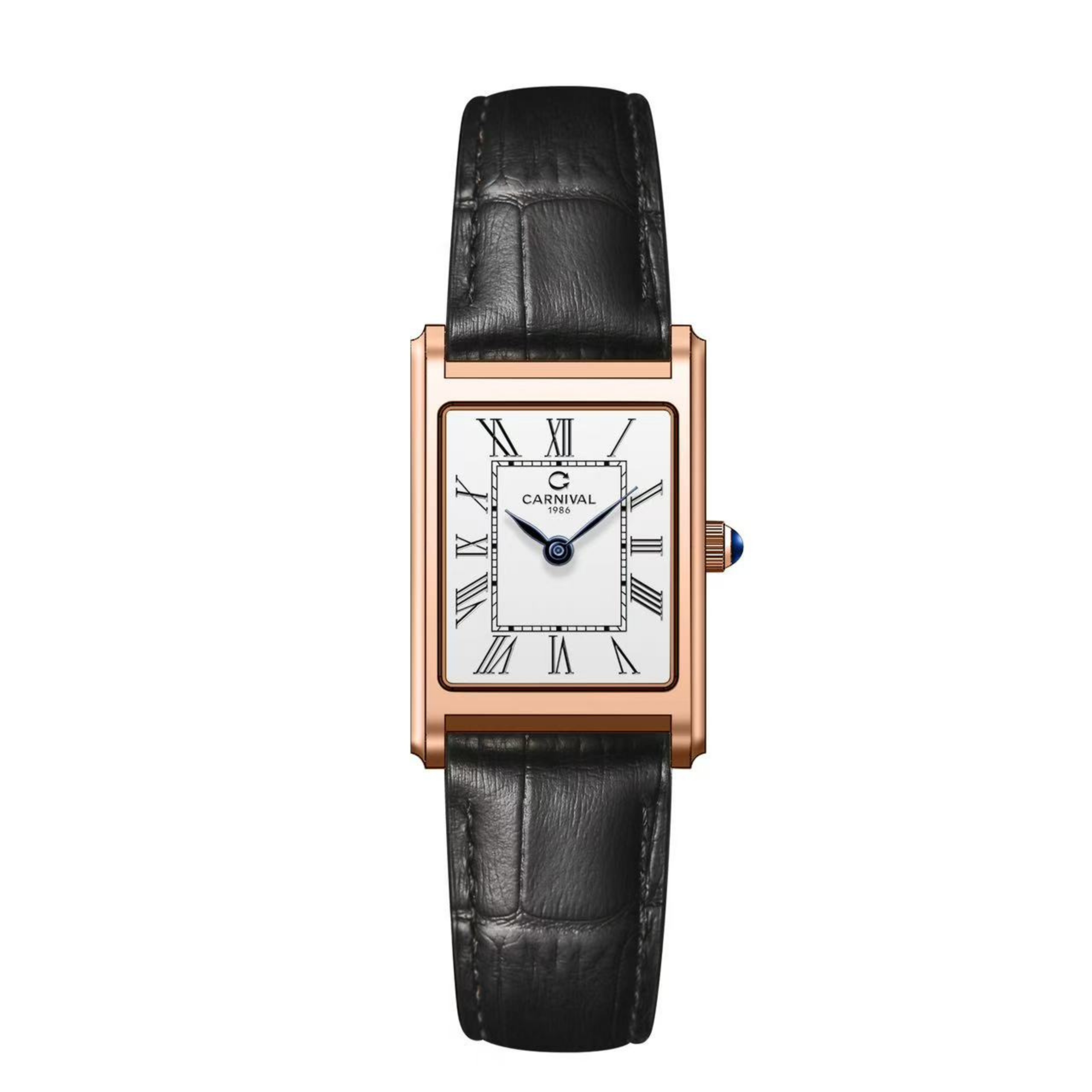 CARNIVAL 8231L