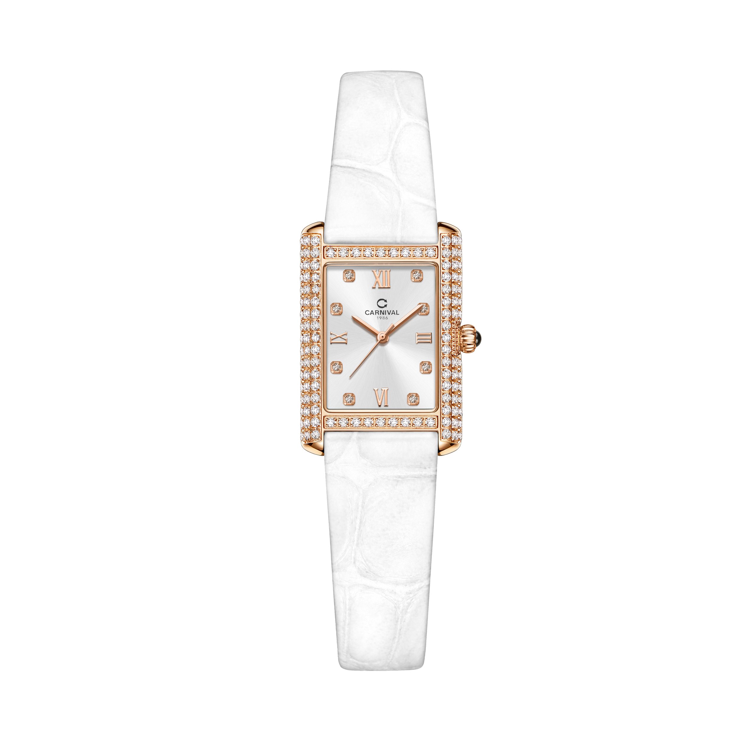 CARNIVAL 8236L
